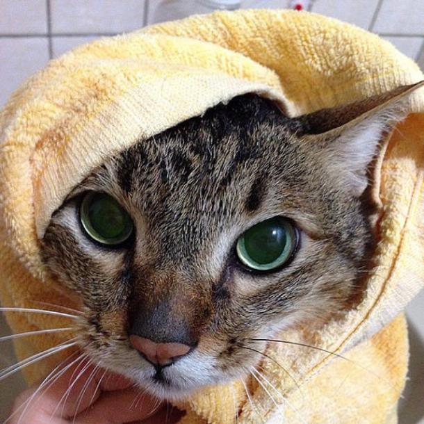 Смеётся тот, кто смеётся последним