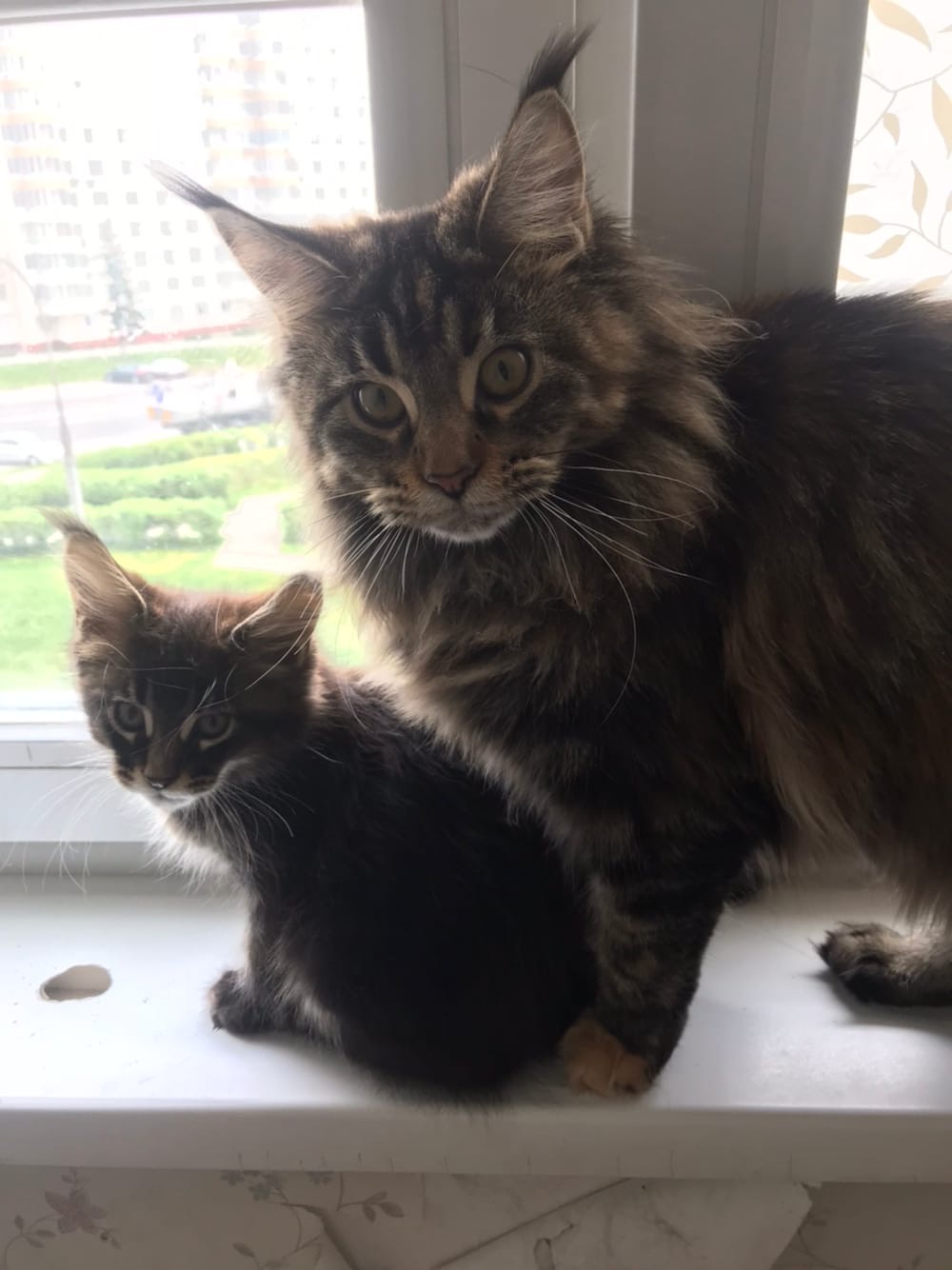 Не отвлекайте ребёнка, он изучает окружающий мир