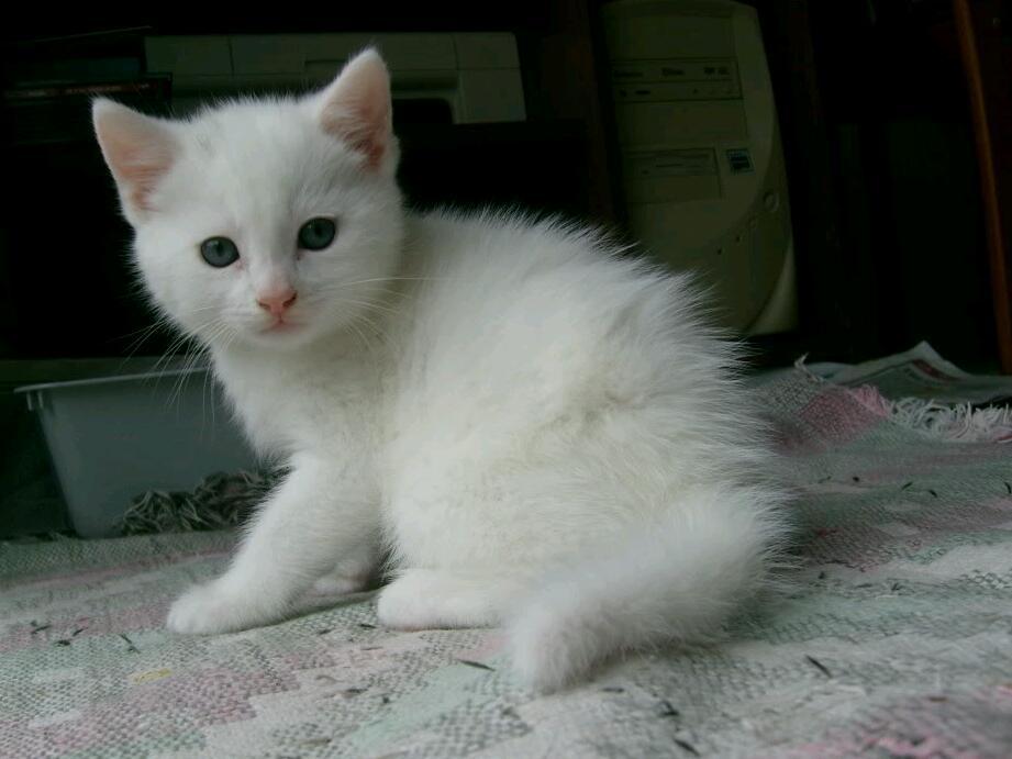 Сами спите на жёстком, а мне подушку давайте