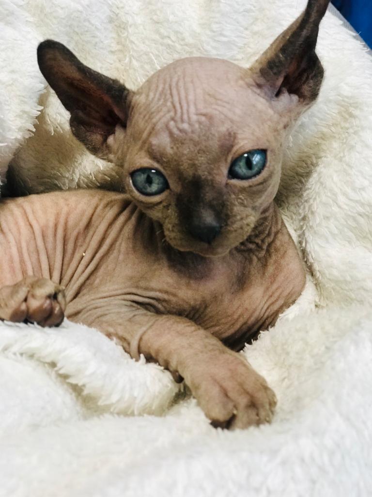 Нашёл уютное местечко