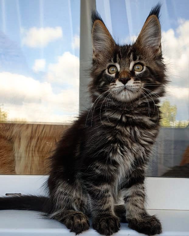 Устал смотреть на облака, которые куда то убегают