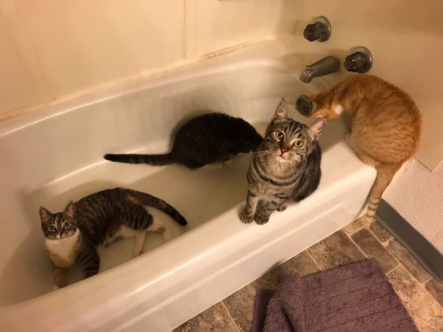 К принятию водных процедур, готовы