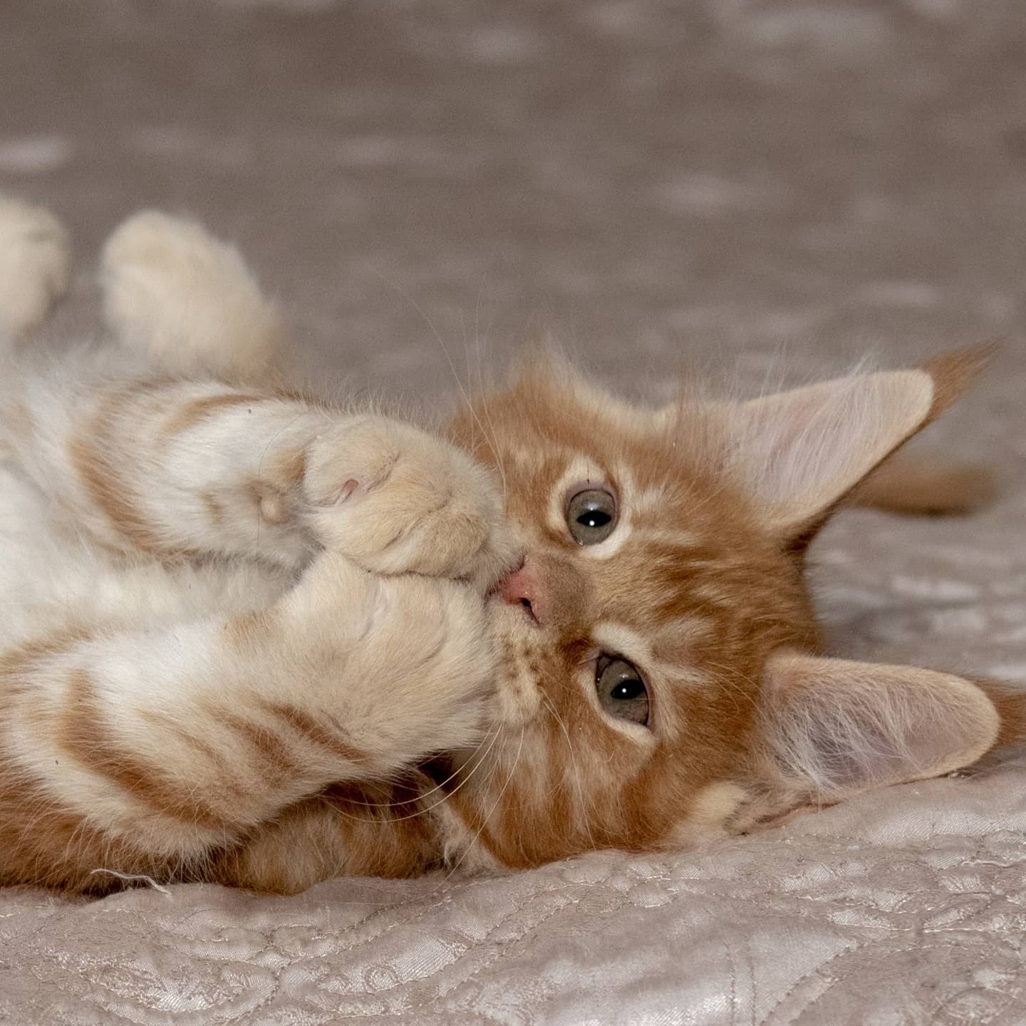 Я выспался, давайте нянчийте