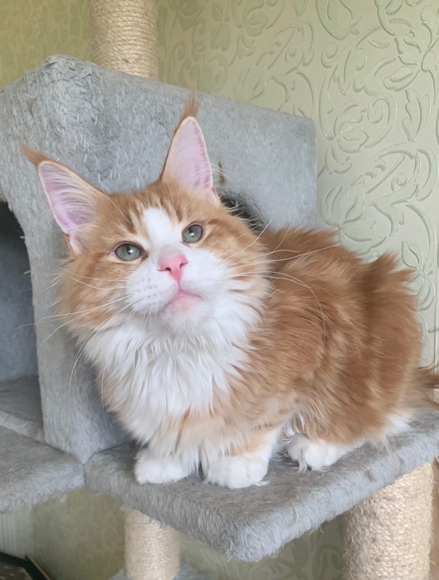 Всё есть, а жить скучно