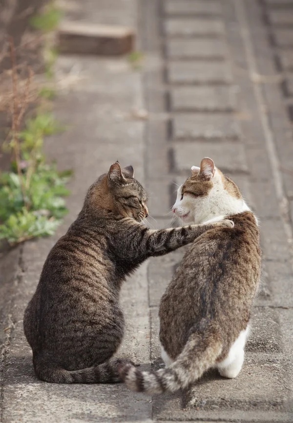 Ты мне друг или враг