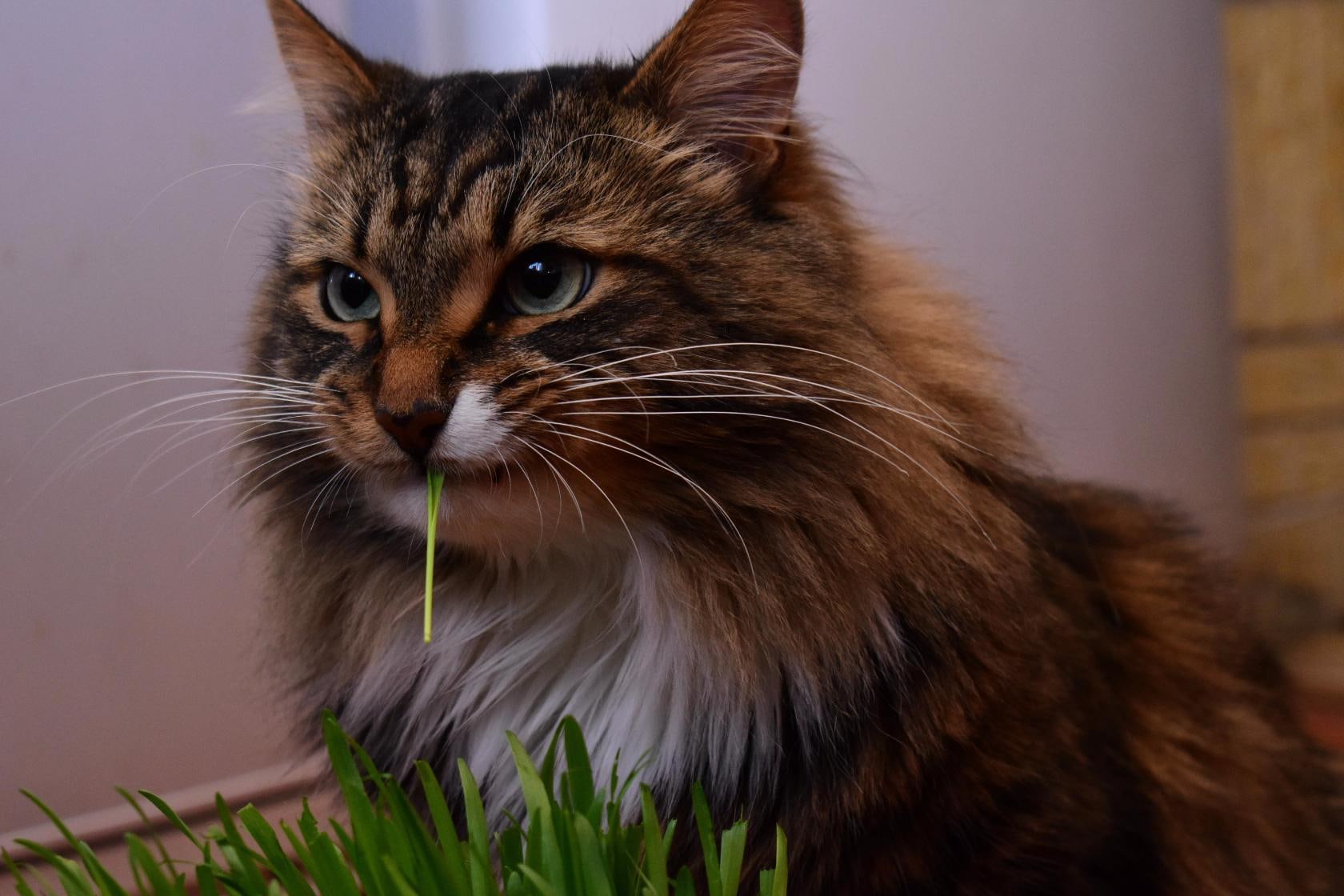 Что то витаминчиков захотелось