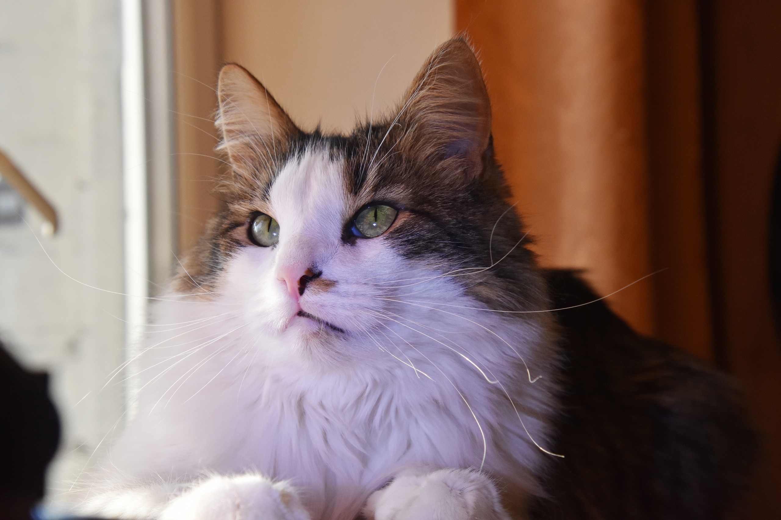 Сейчас бы на рыбалку поехать, рыбки наловить