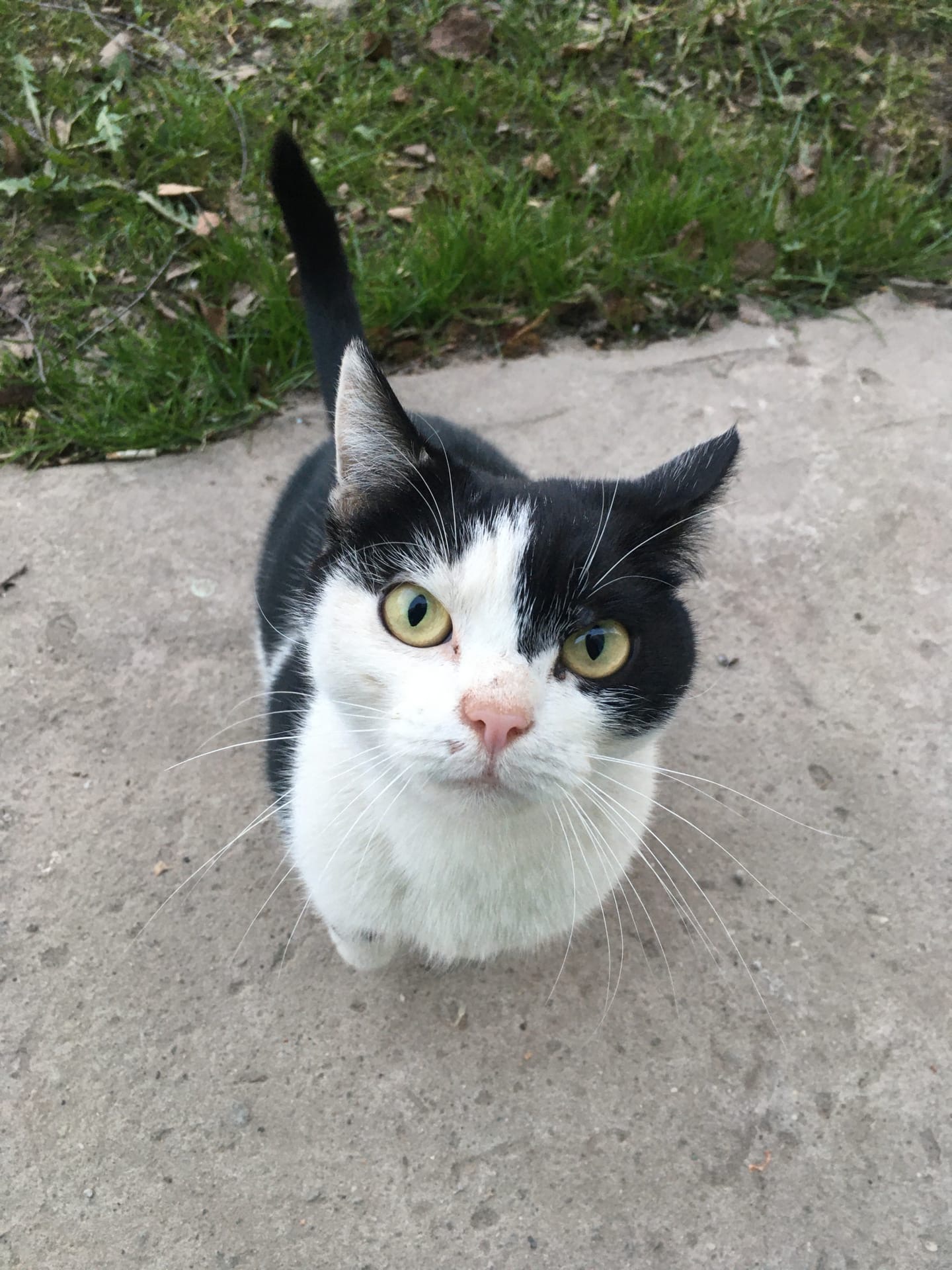 Здравствуйте, чем сегодня меня побалуете