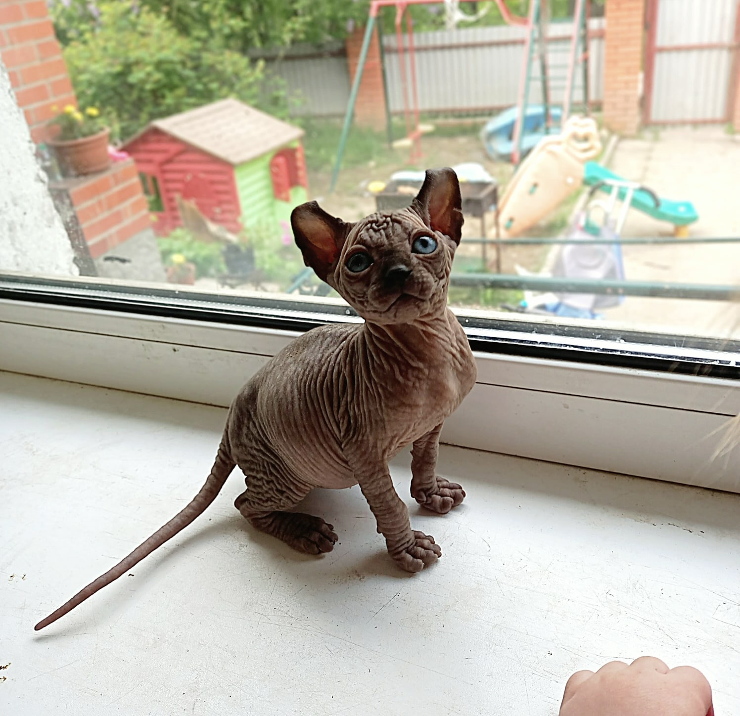 А можно мне пойти погулять