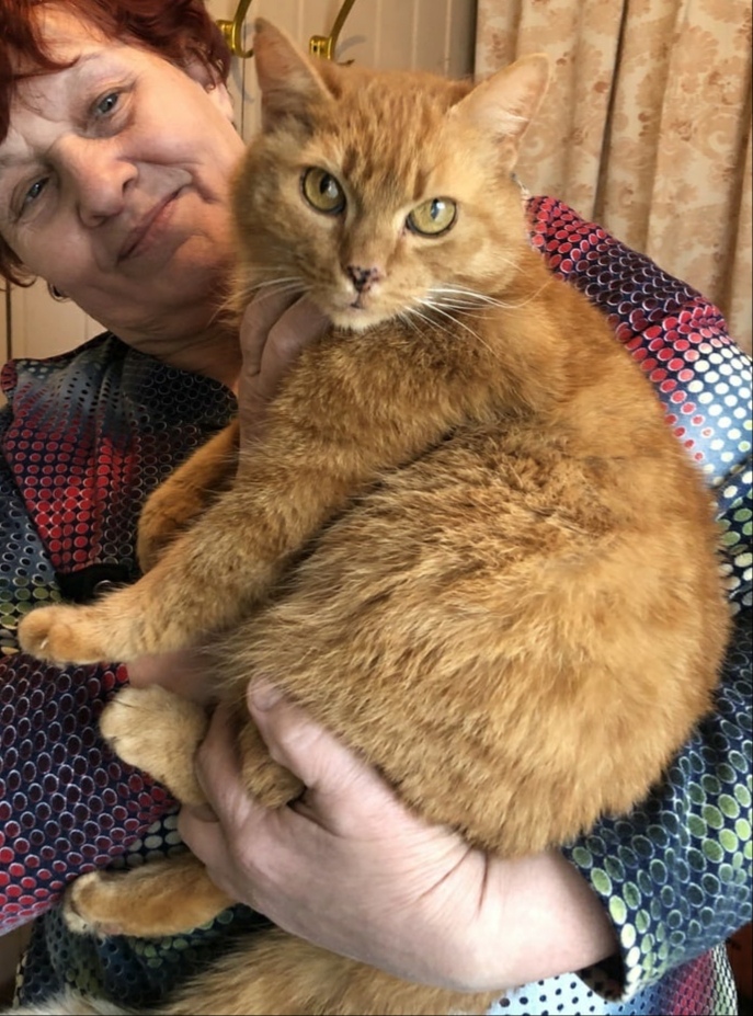 Хозяйкино рыжее счастье