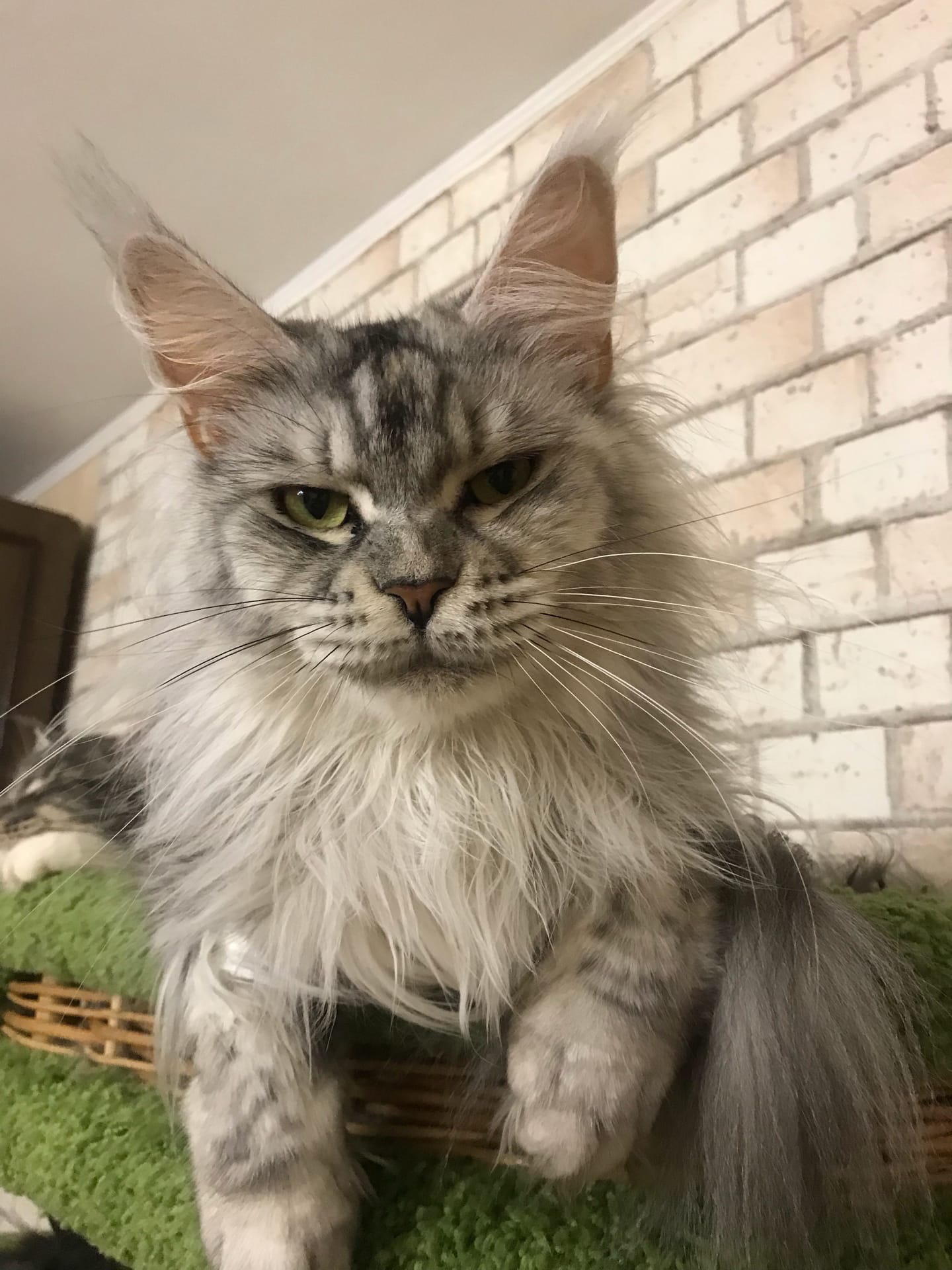 Зачем побеспокоили, старичка