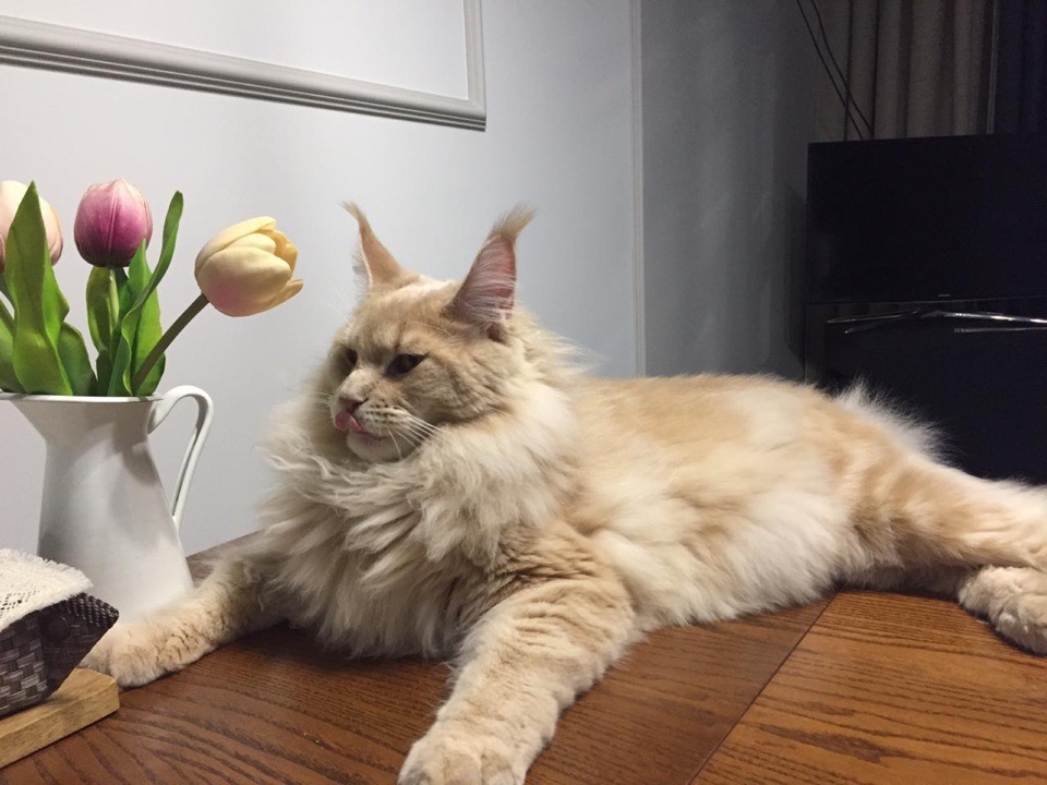 Я не разрешаю нюхать цветочки