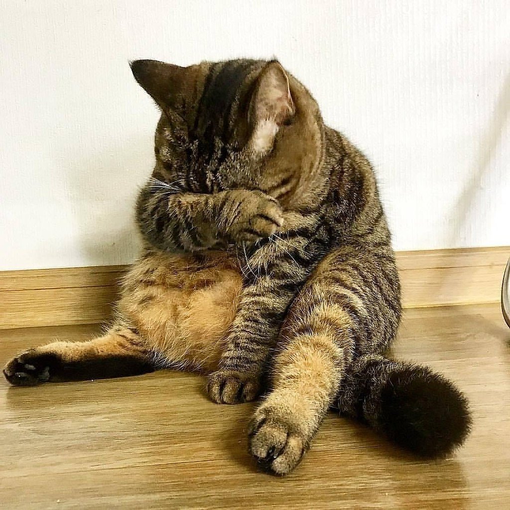 Не хочу, чтобы Вы видели мои слёзы