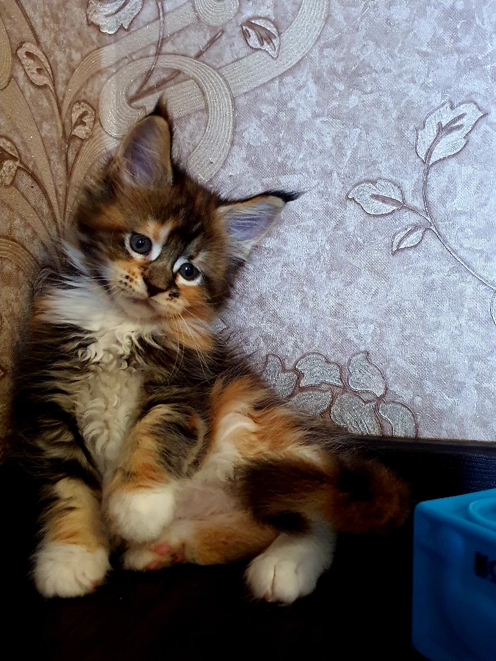 Наказали ни за что