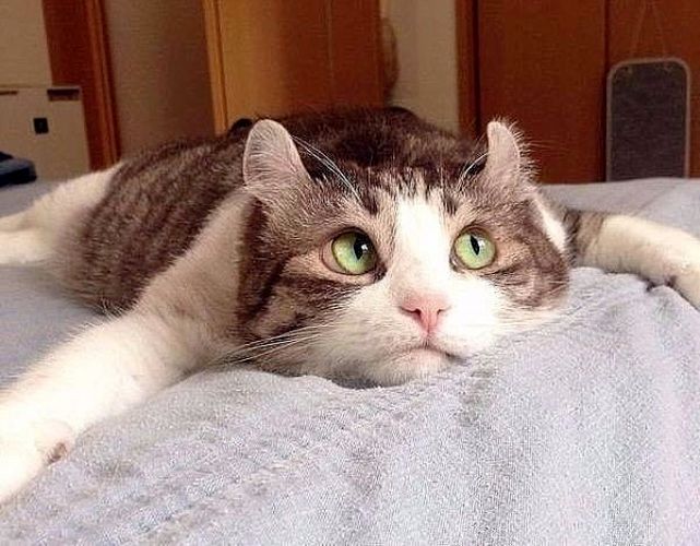 Жить хорошо