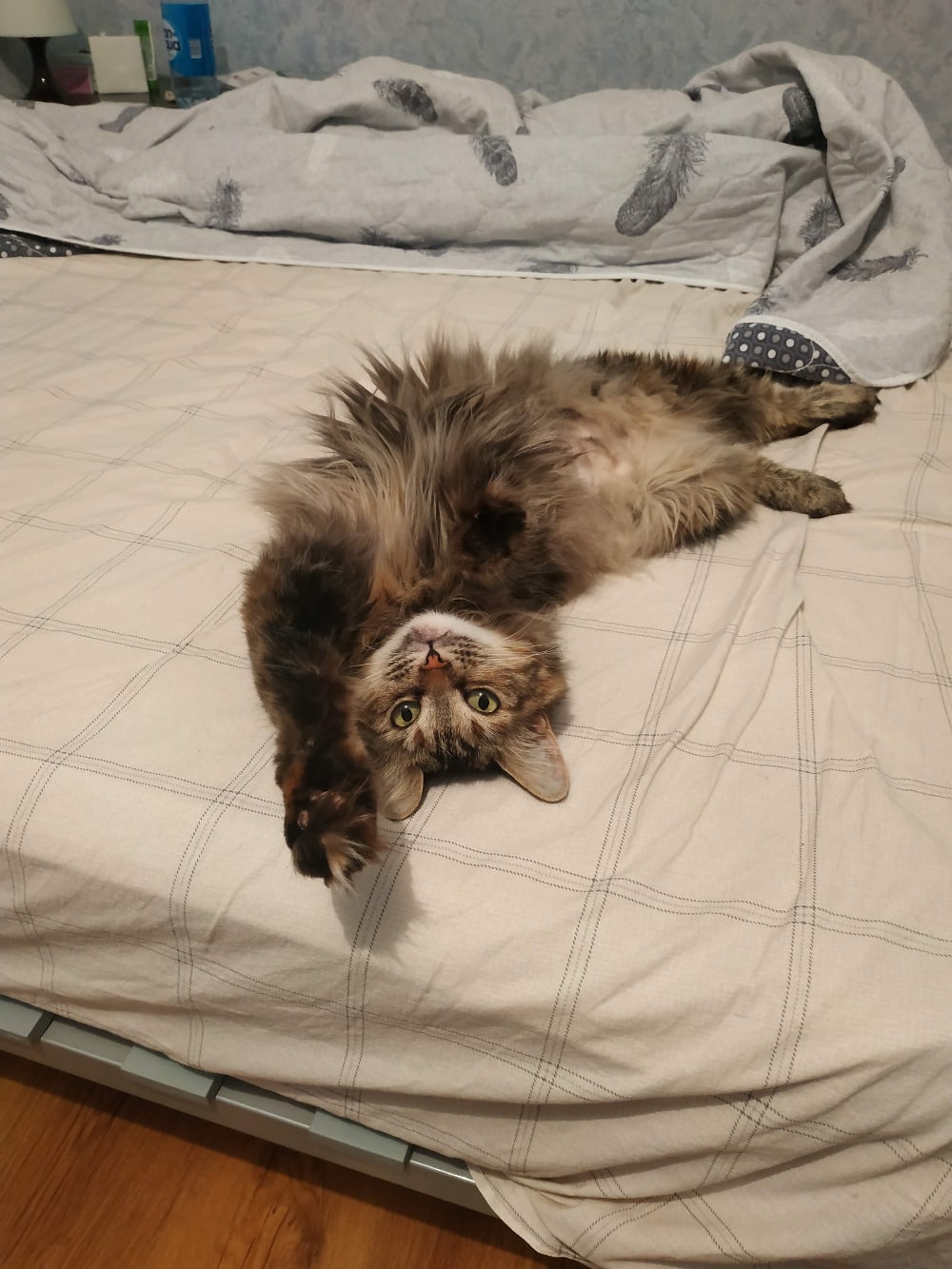 Выспалась и полна сил