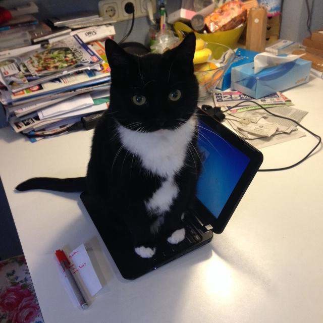 Я буду первым играть