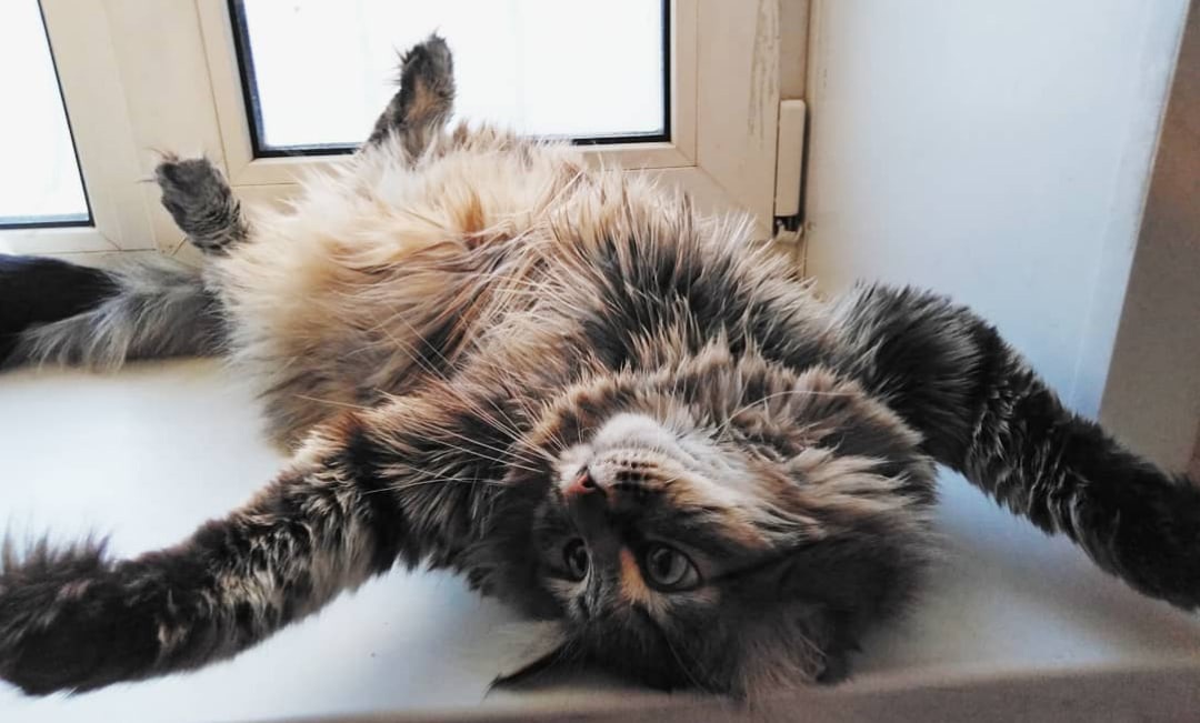 Вот так я буду лежать на пляже