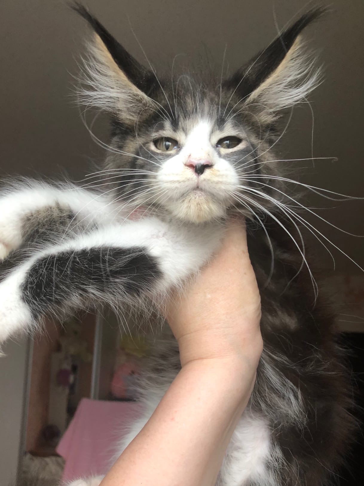 Разве, я не красавчик