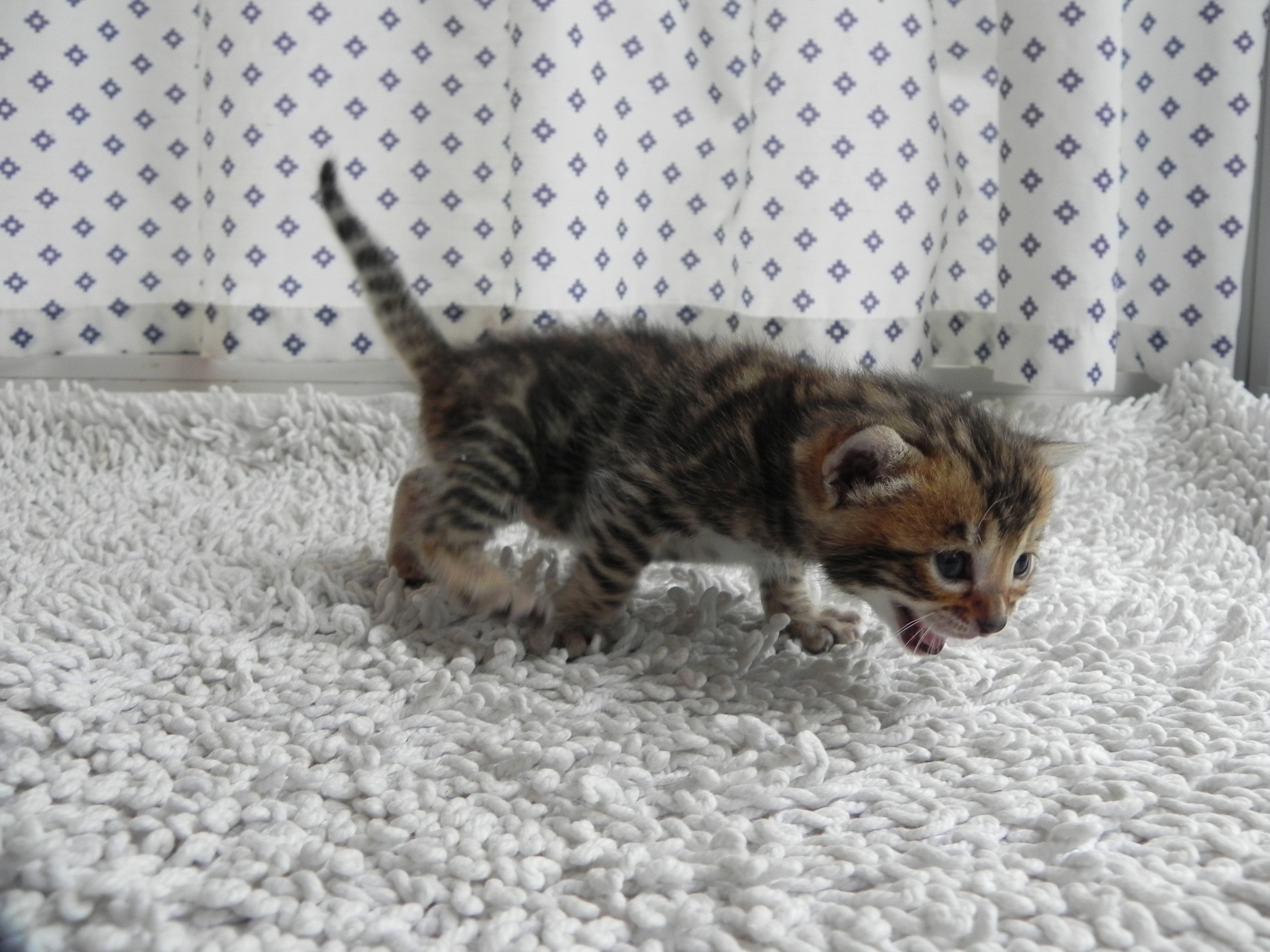 Эй, где все, я проснулся