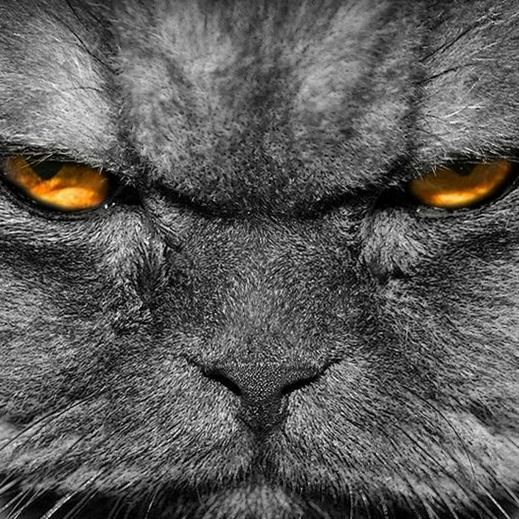 Моя месть - будет страшной