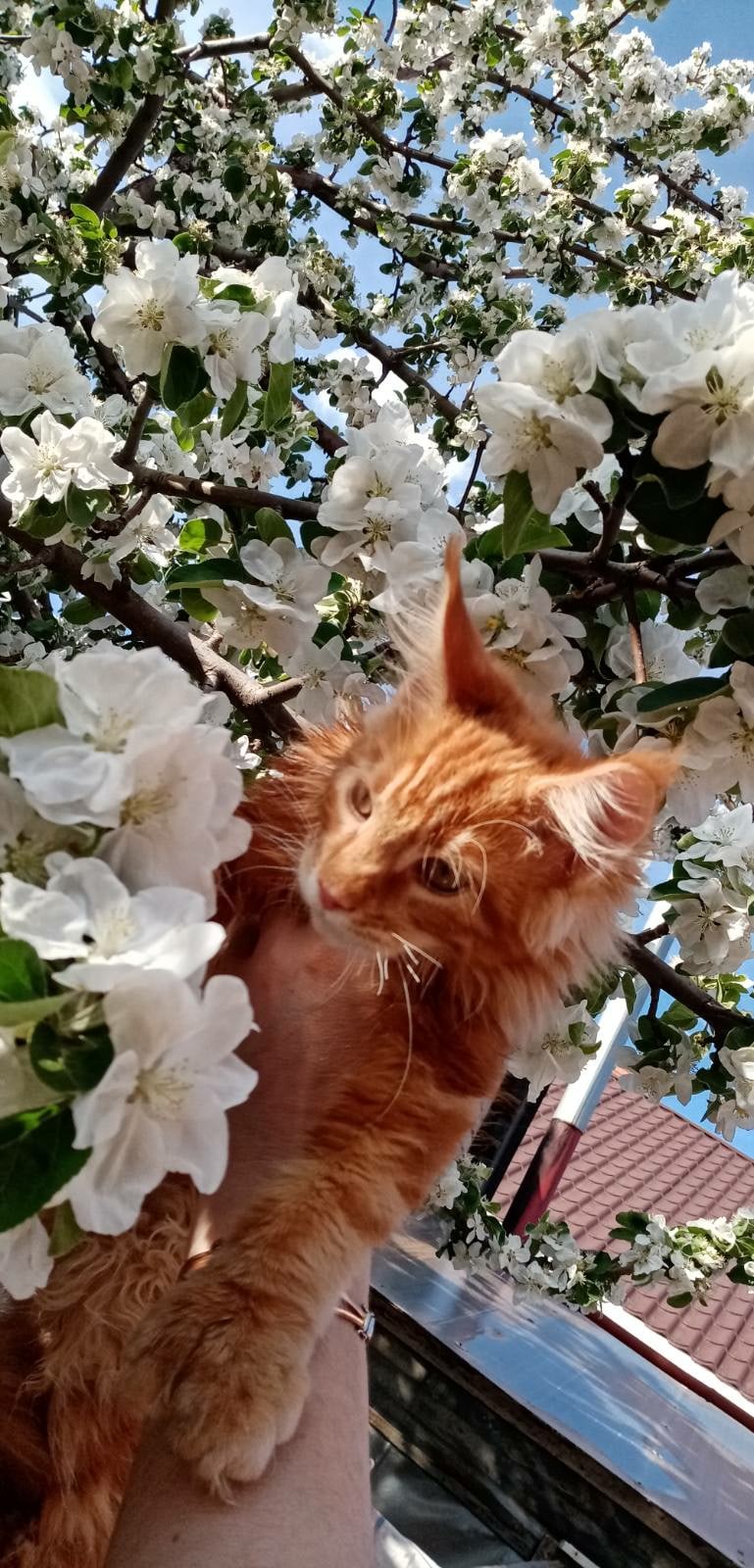 Какая красота, аж трогать боязно