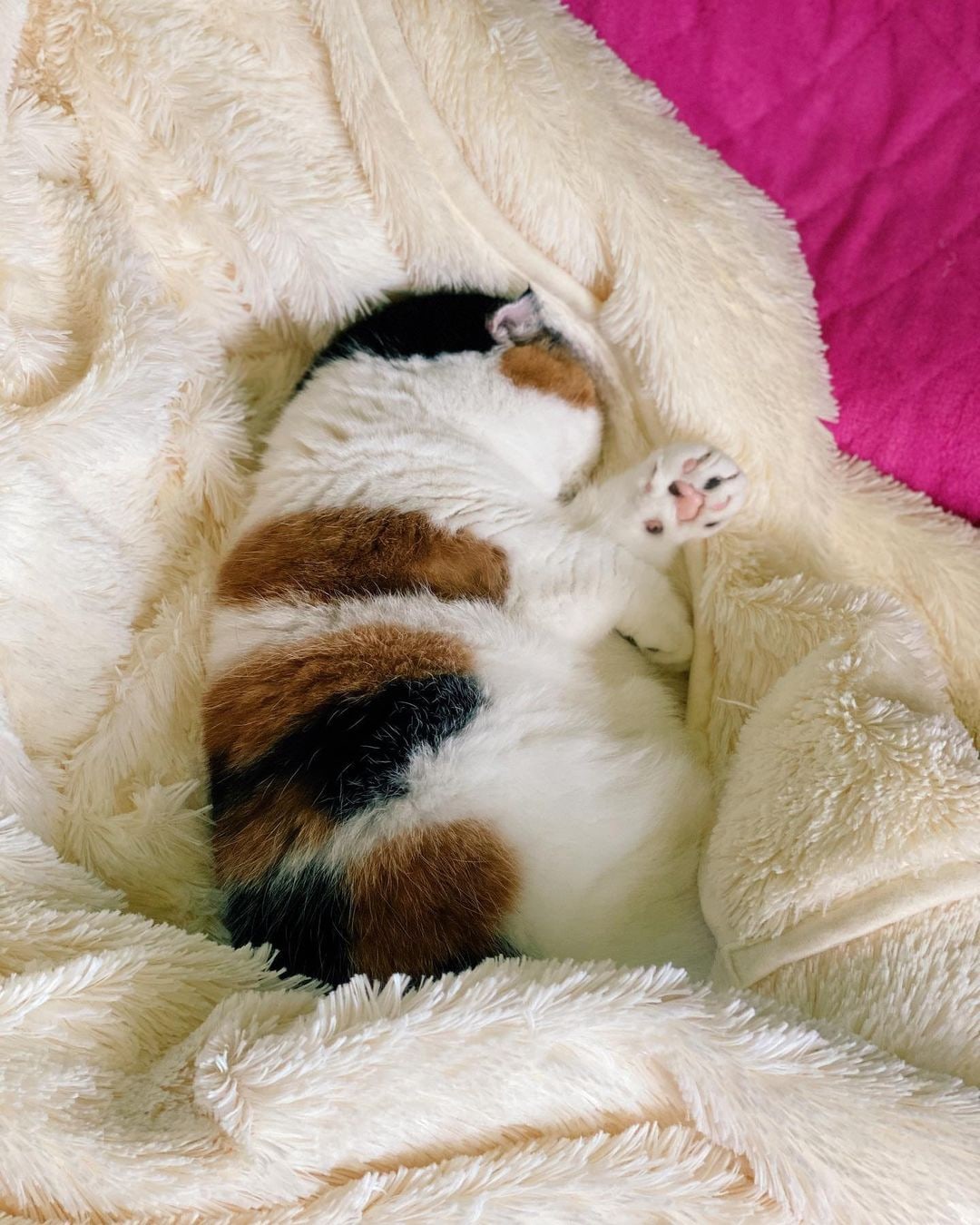 Дайте выспаться, а то начну капризничать