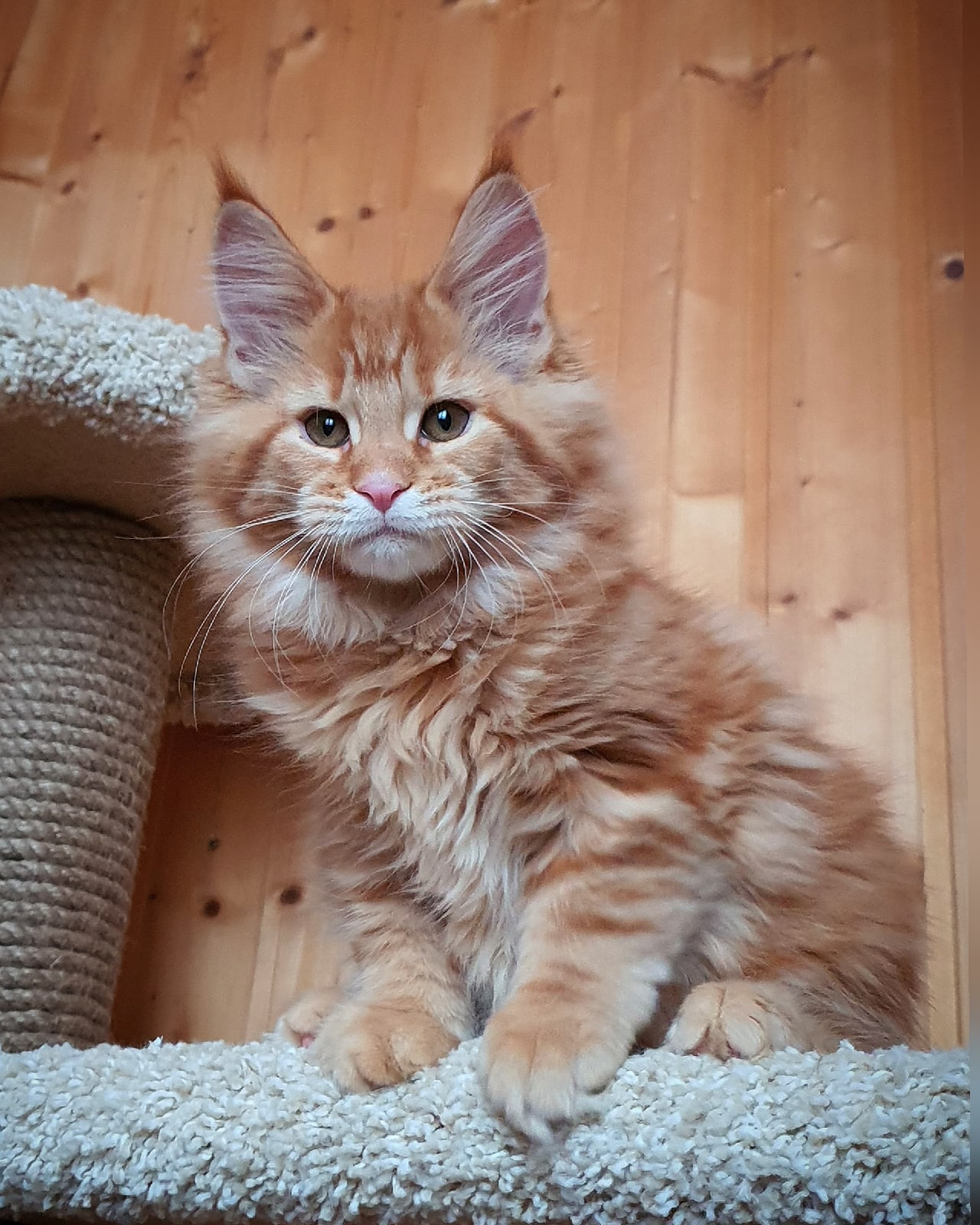 Кто сегодня со мной поиграет