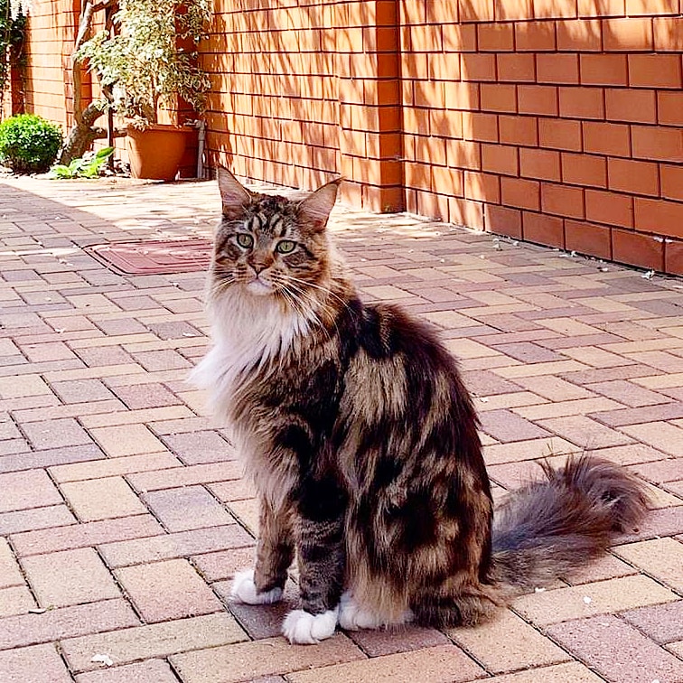 Проходите гости дорогие, Вы же к нам ненадолго