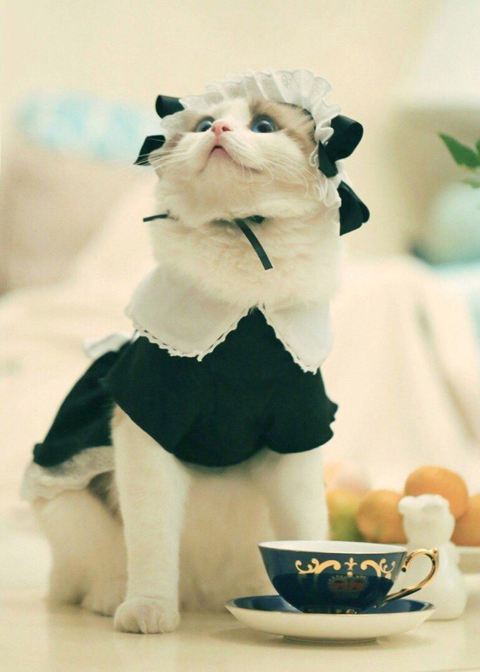 Вкусный у Вас чаёк, подлейте ещё пожалуйста