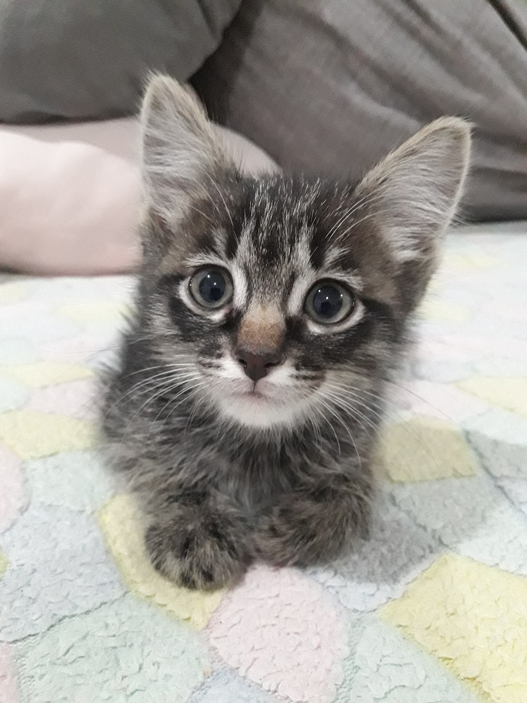 Я Вас слушаю