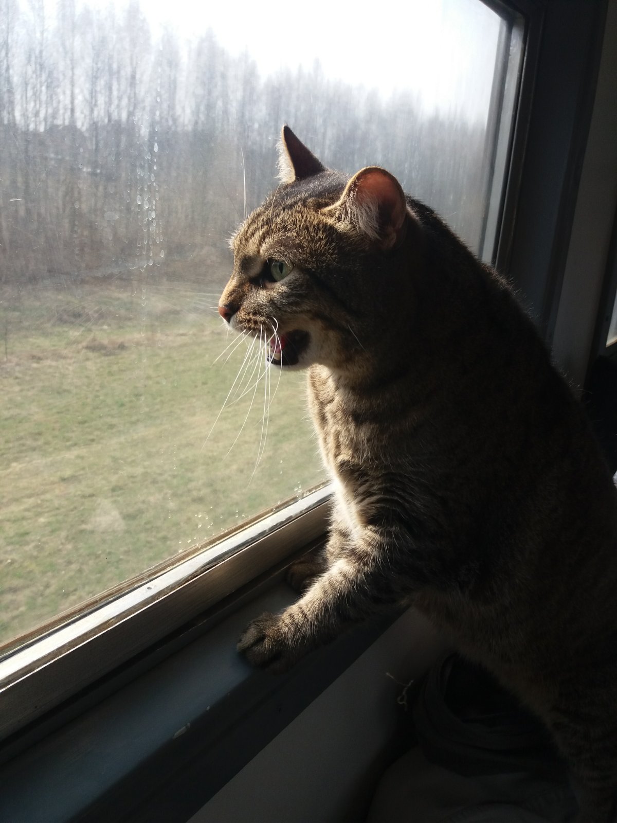 Эх, еду, еду, еду в далёкие края