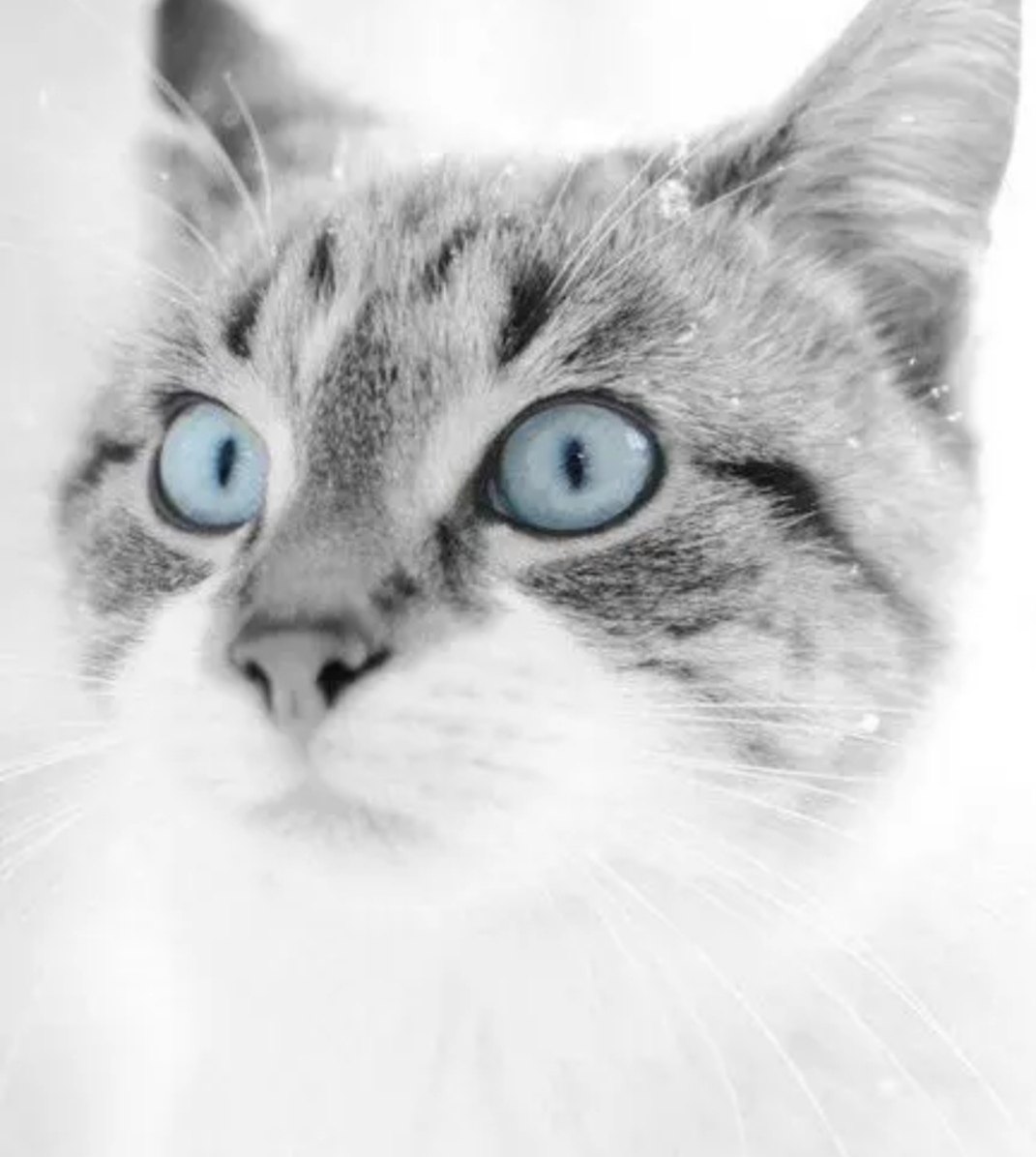 Зима это конечно хорошо, но холодно