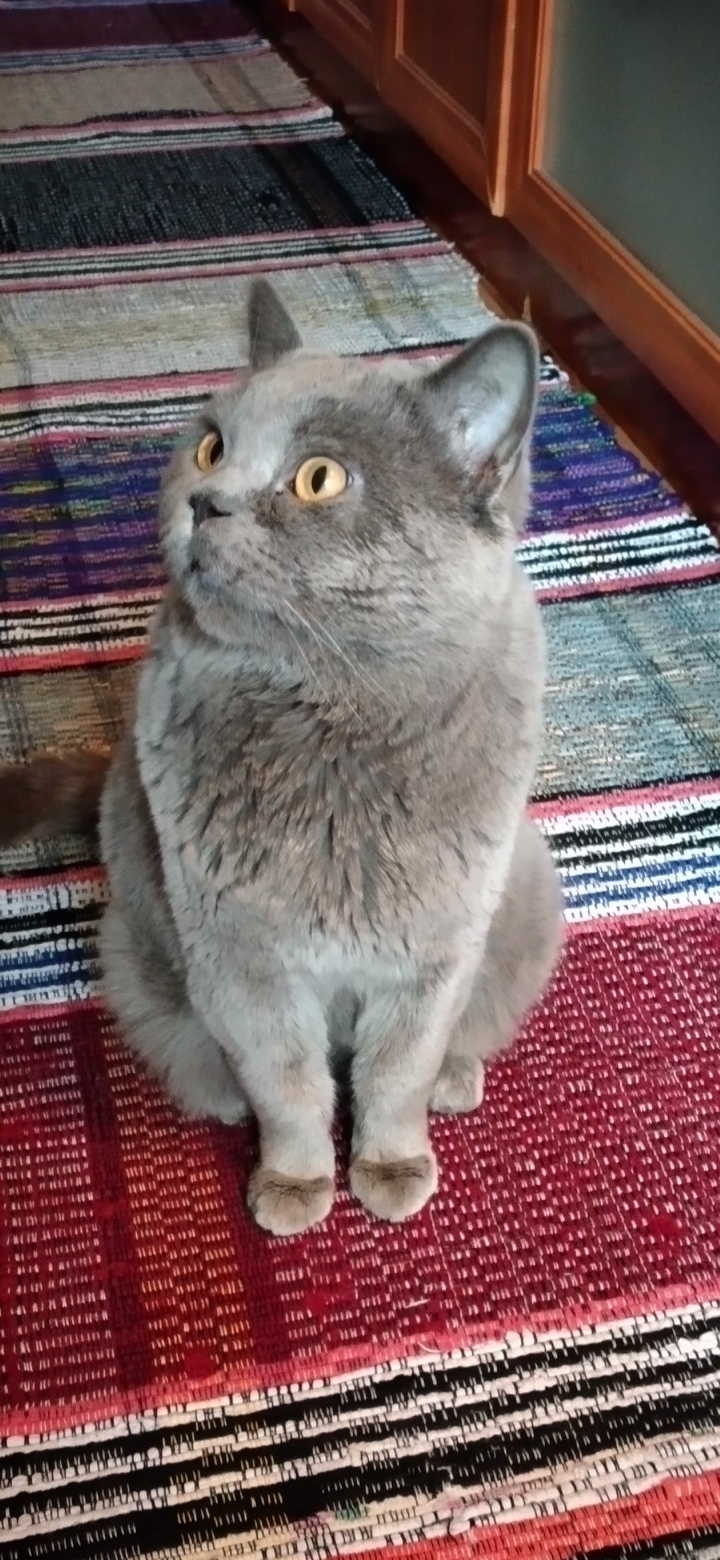 Бабуля, ты скоро вернёшься, я буду скучать