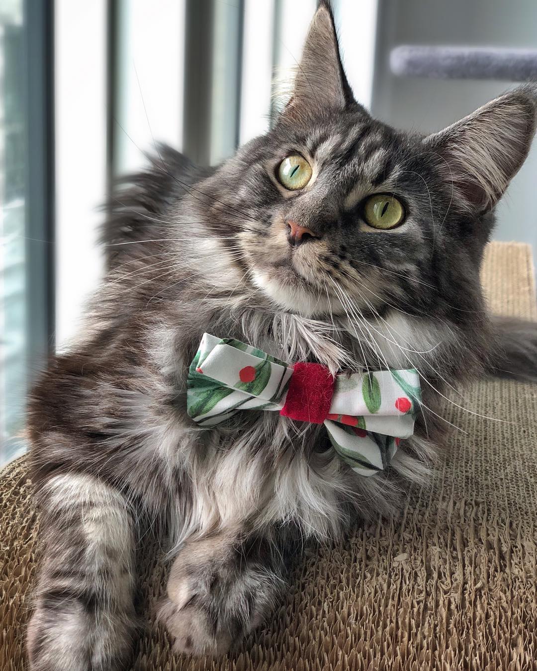 Я ждал не Вас, летите дальше