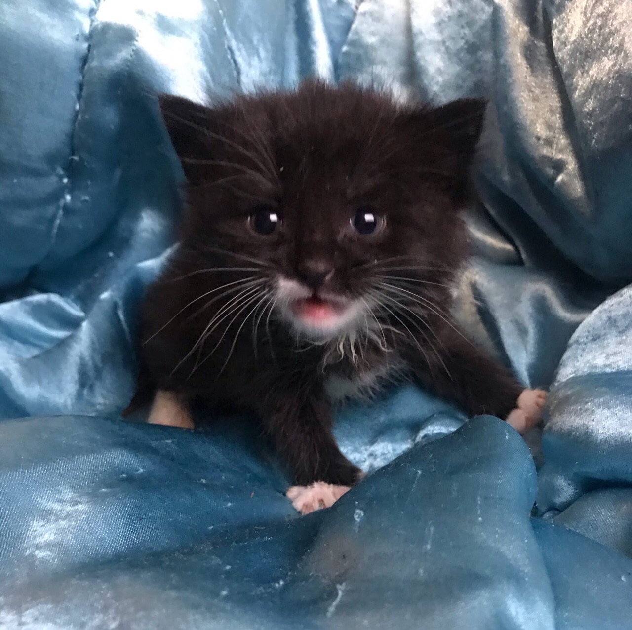 Я Вас защищу, обещаю