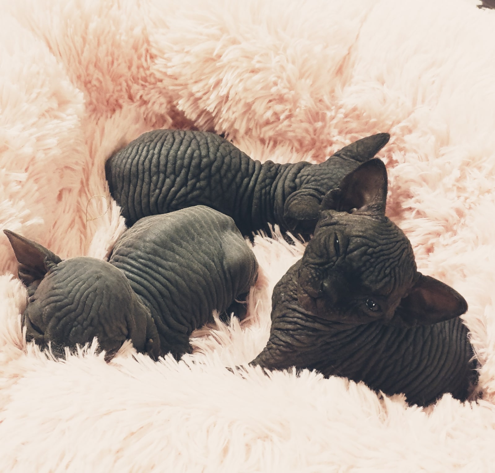 Выключите свет, спать мешает