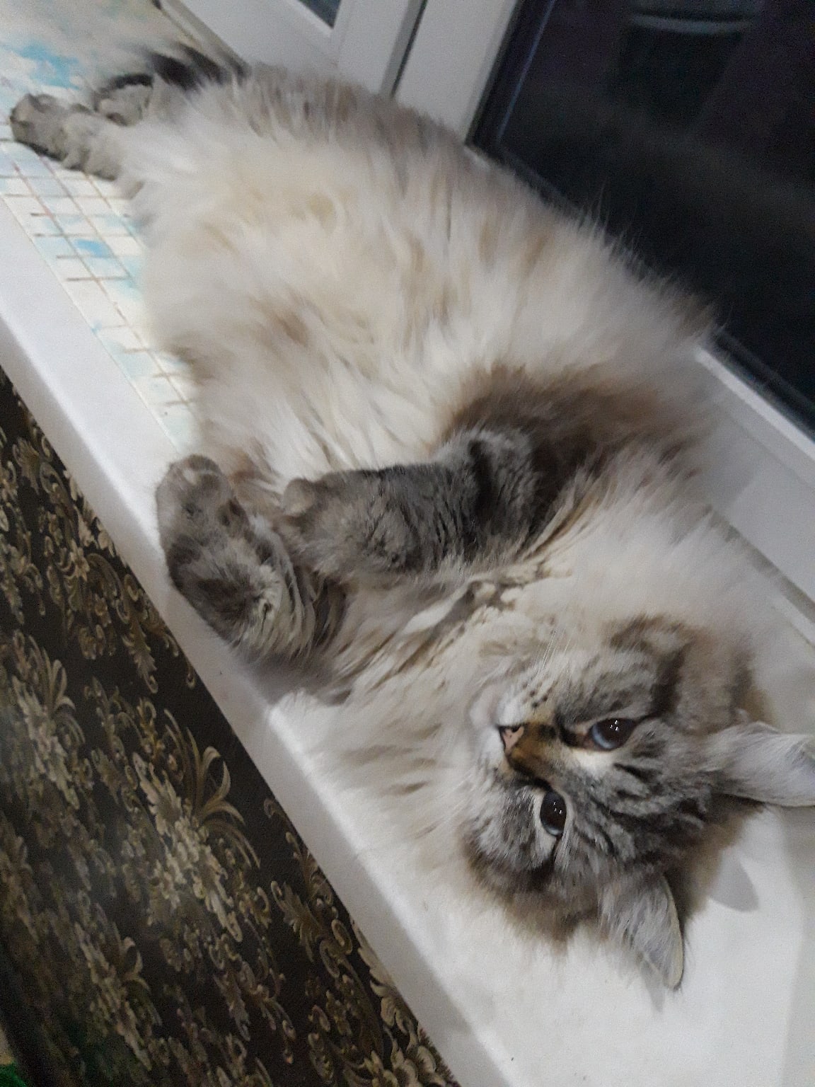 Вы когда отпуск возьмёте, я на море хочу