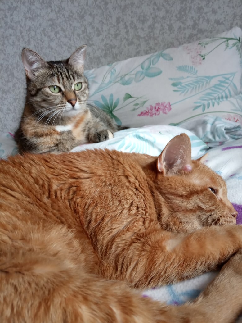 Повернись к окну задом, а ко мне передом