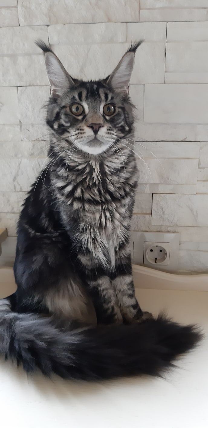 Кажется теперь я знаю, что такое электричество