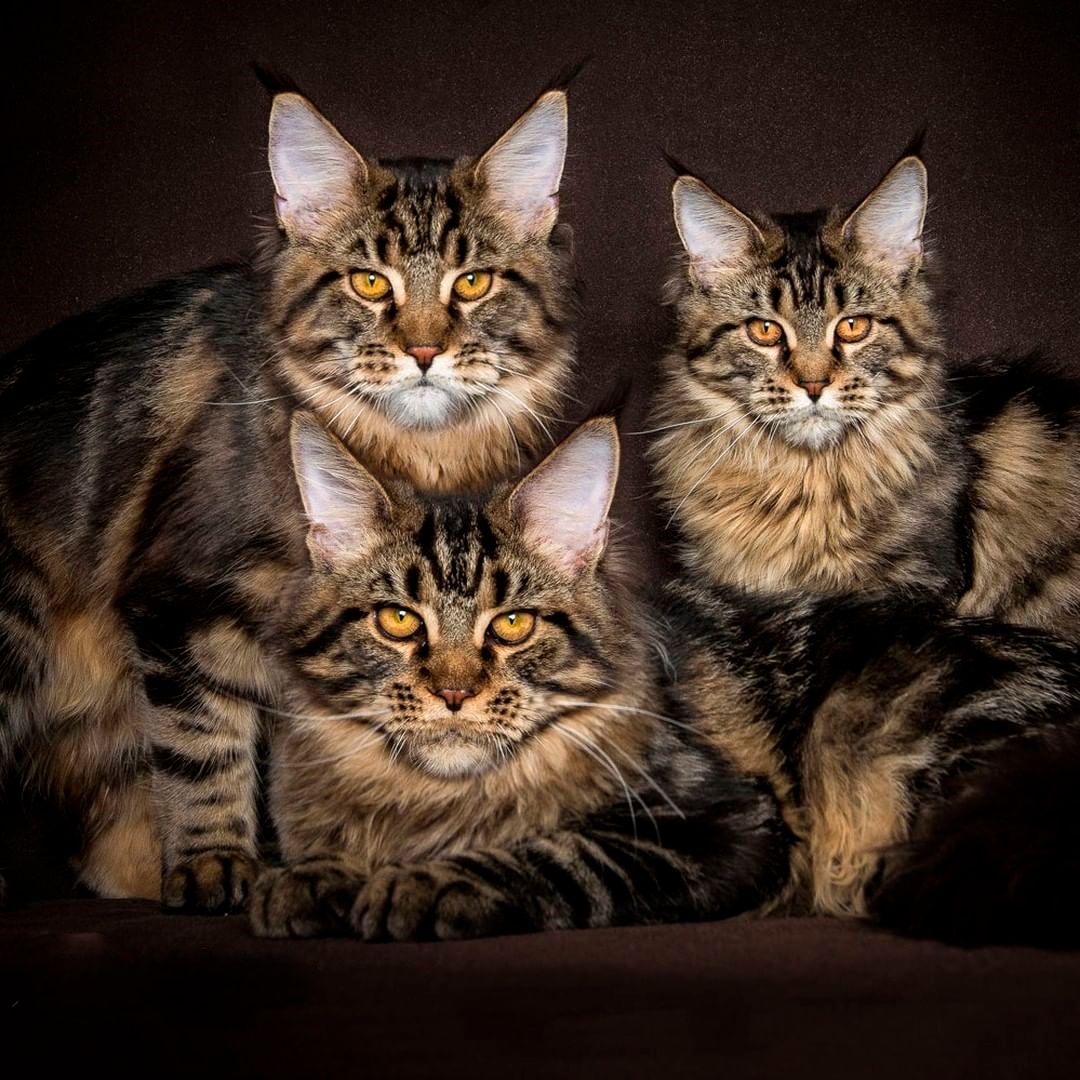 Фото на память