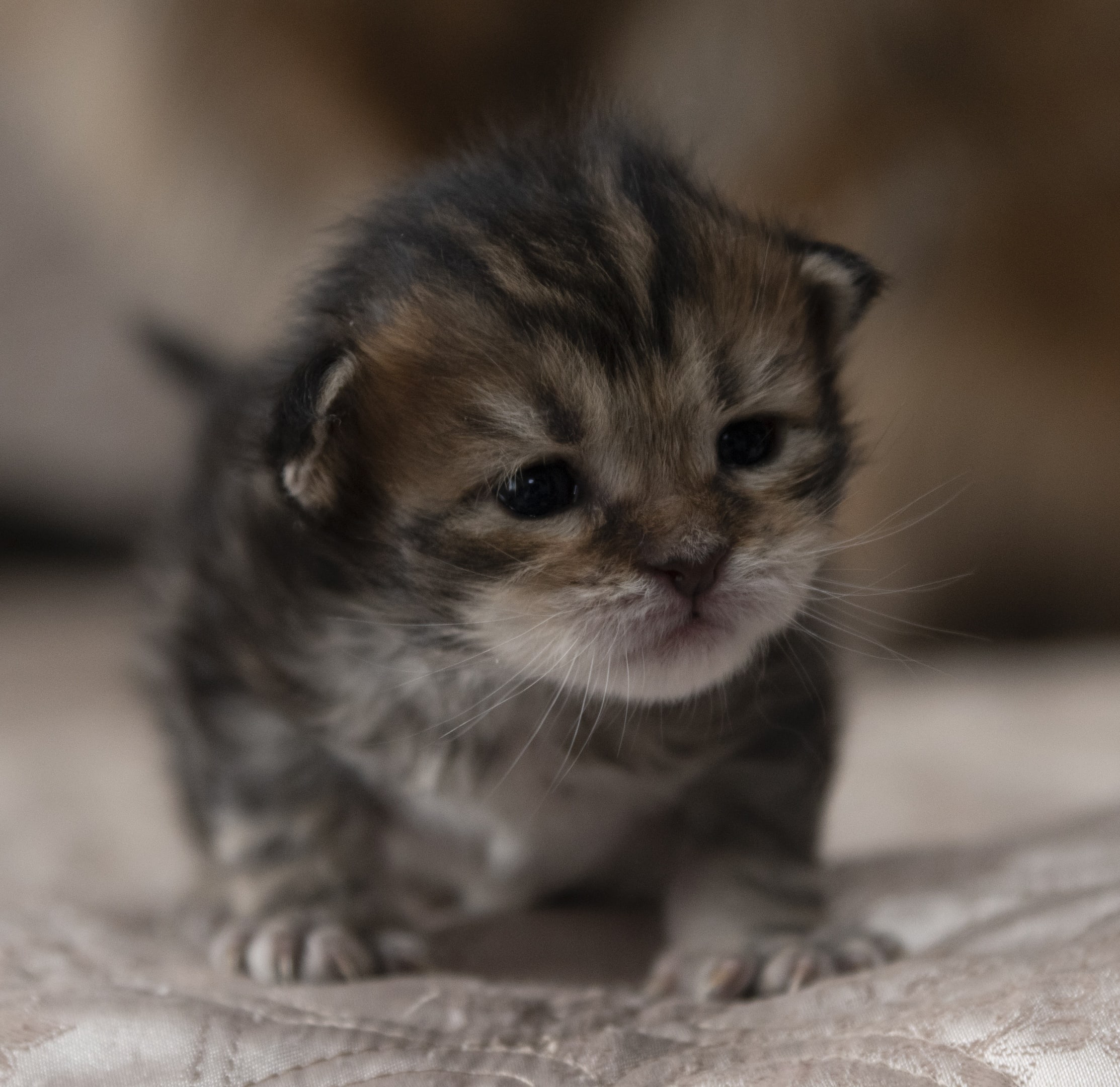 Так, где тут у Вас что, показывайте