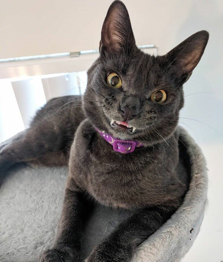 Ну что, посмеёмся