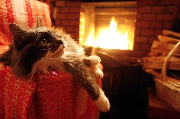 Не мешайте мне отдыхать