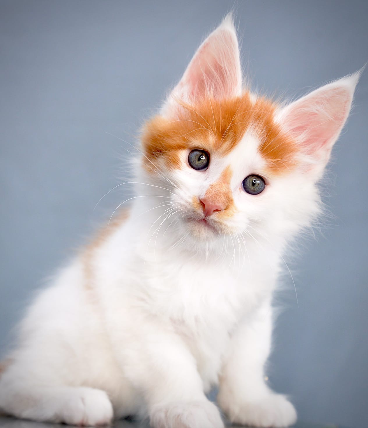 Обворожительная милашка