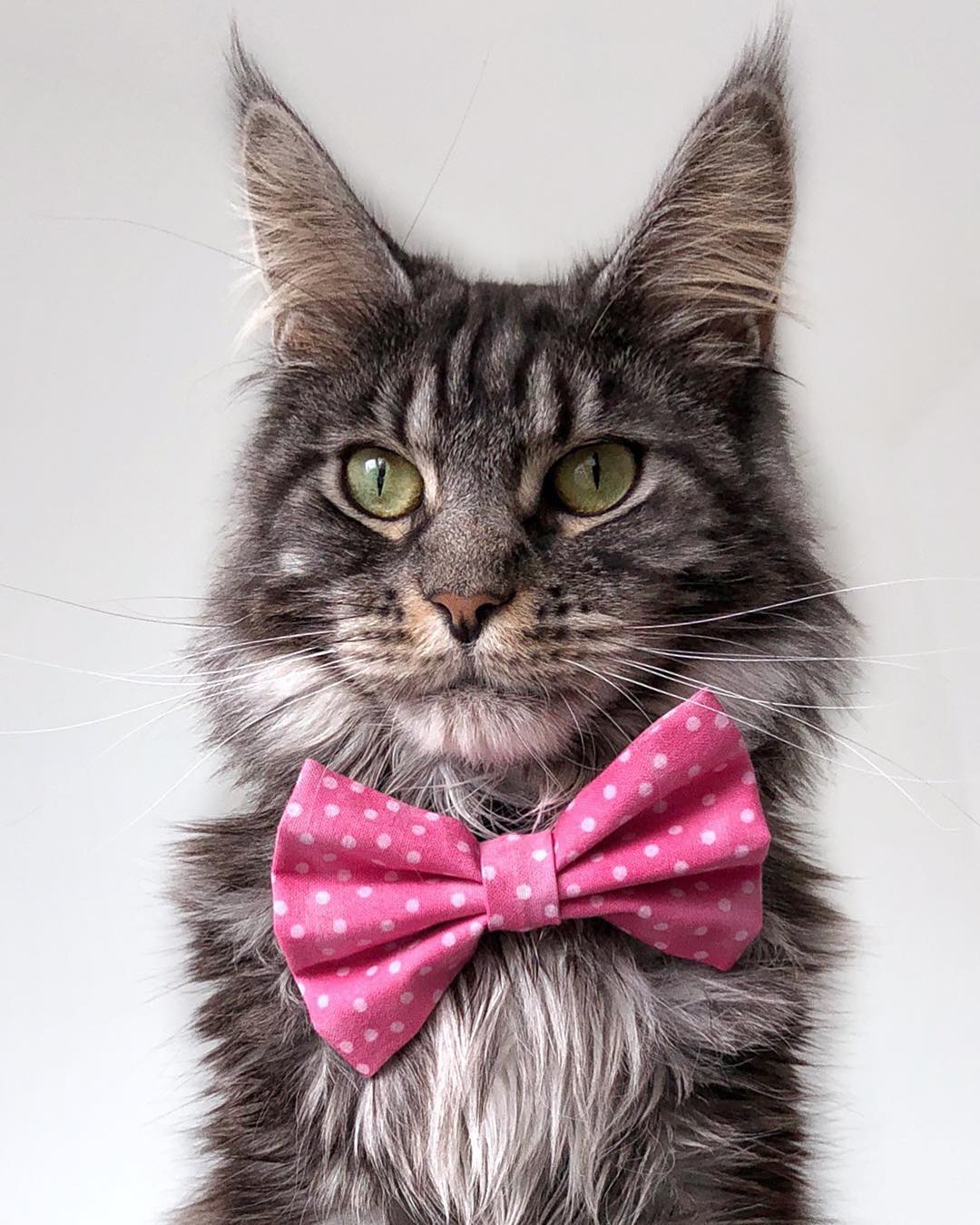 Приглашаю всех на мой концерт, на крыше