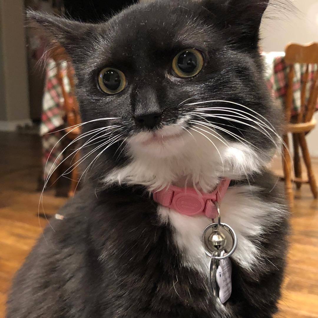 С добрым утром, давайте завтракать