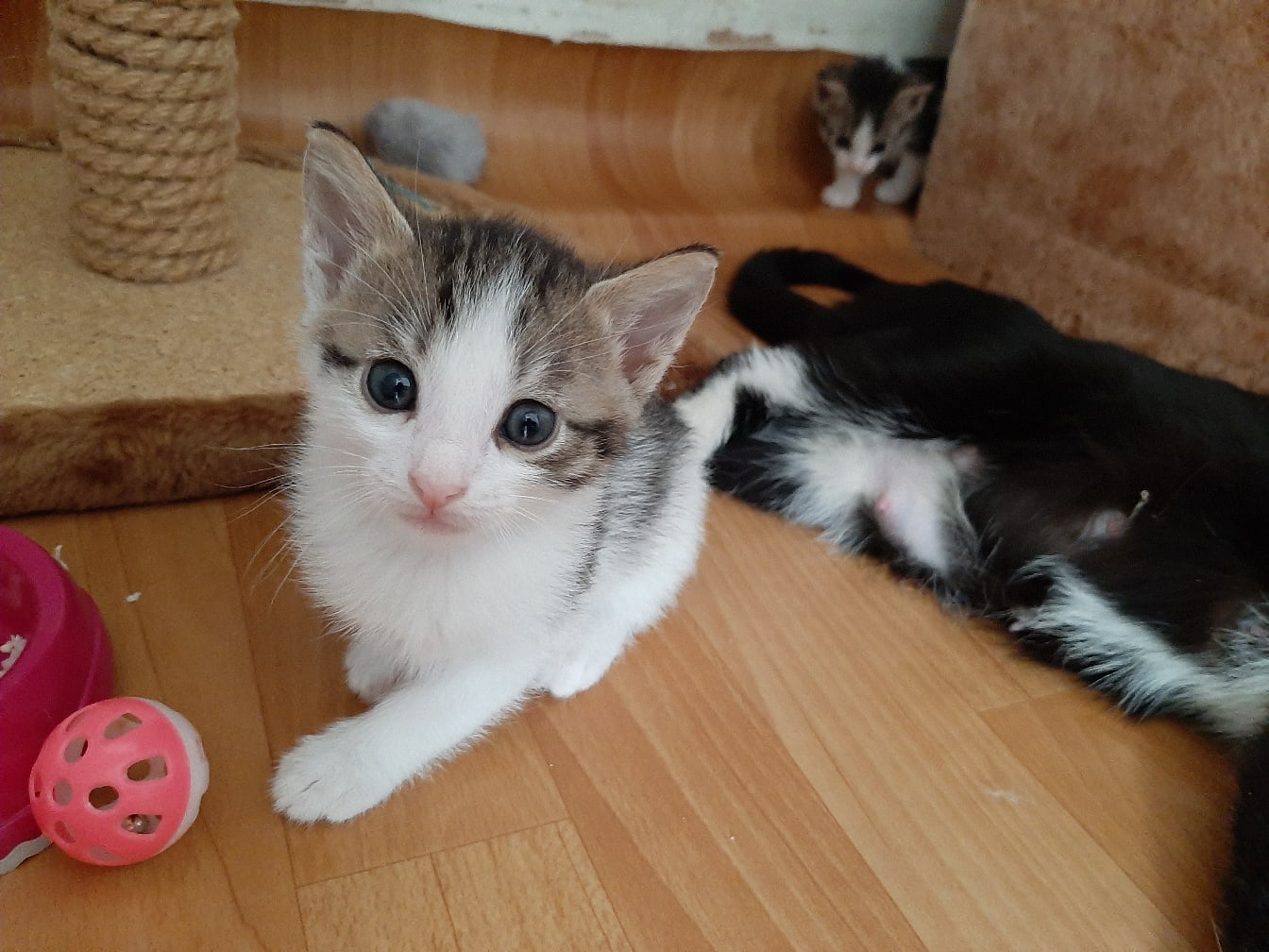 Не будите нашу маму, она устала