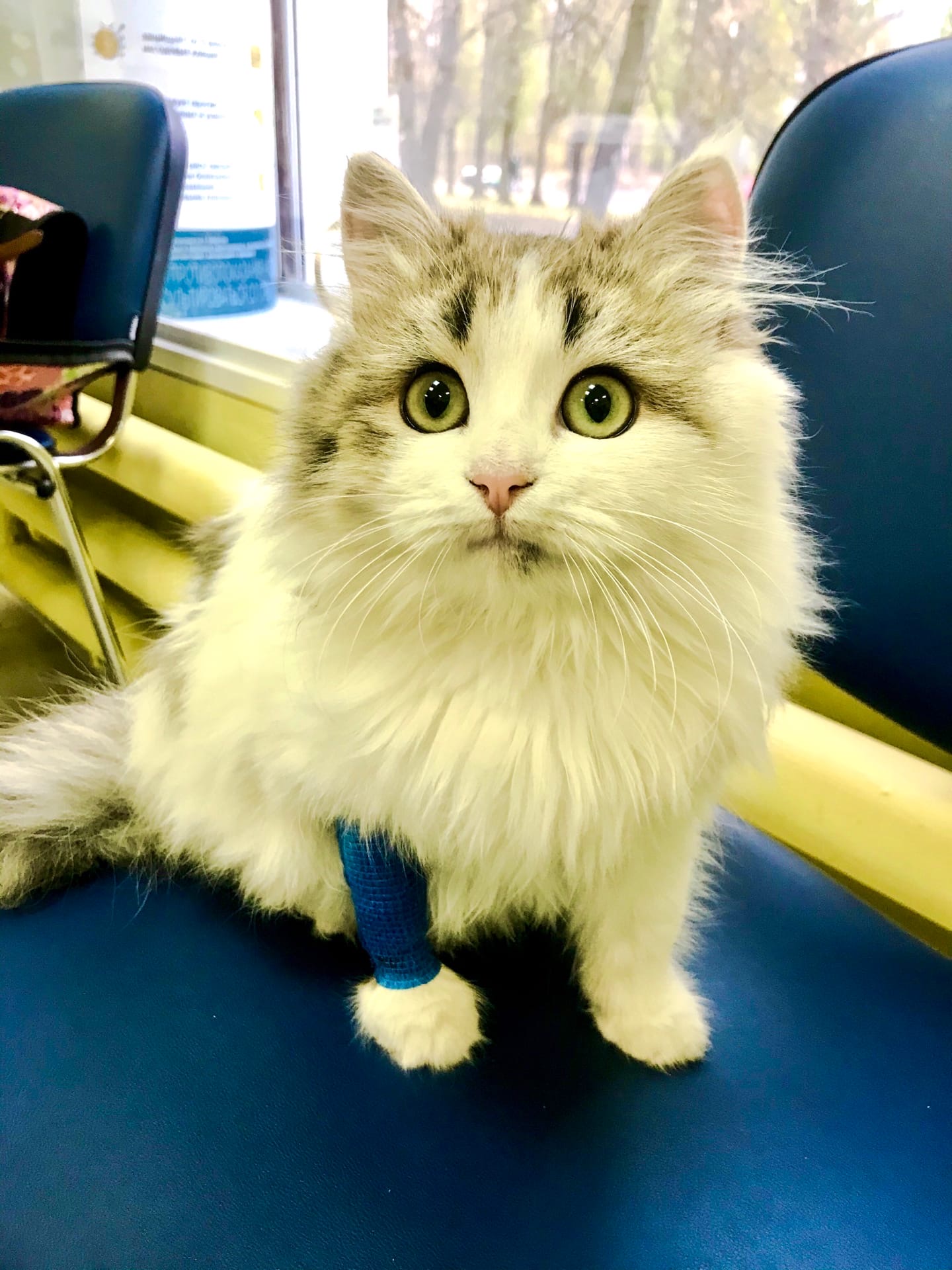 Сегодня я Ваш фитнес инструктор, переодевайтесь и за мной