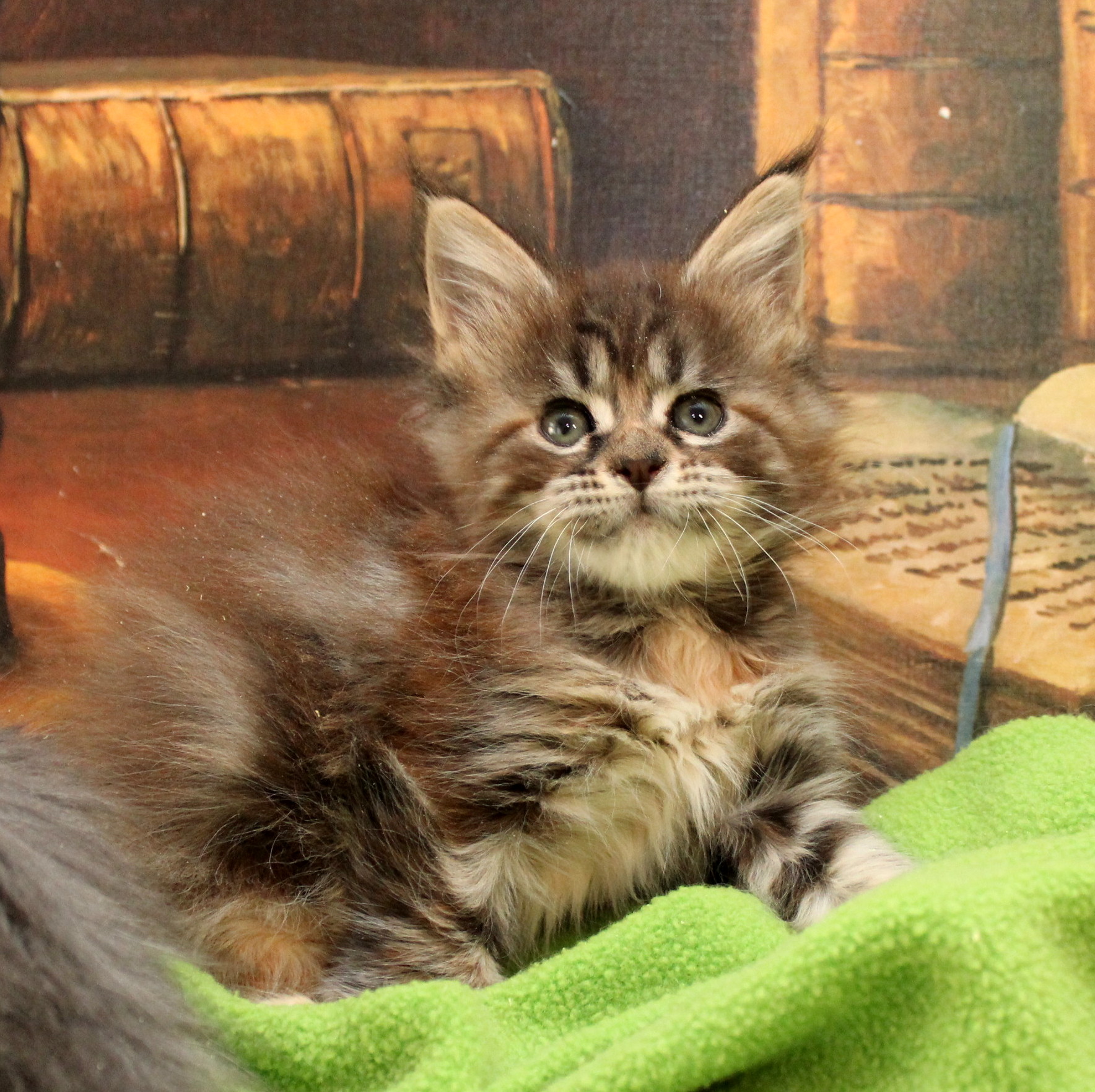 Я буду спать, если Вы мне сказку почитаете